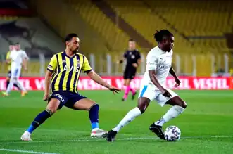 Fenerbahçe, Türkiye Kupası'nda Erzurumspor'la İlk Kez Karşılaşıyor